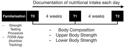 Is there a beneficial effect of a high-protein diet on body composition and strength capacity in physical active middle-aged individuals?—An eight-week randomized controlled trial